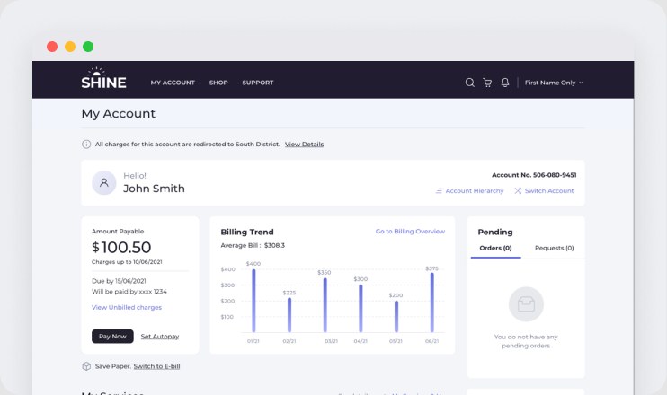Account summary: key data and Pay now up front